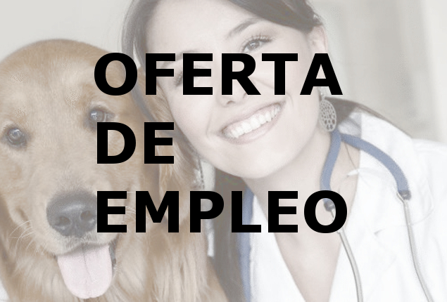 Oferta de Empleo
