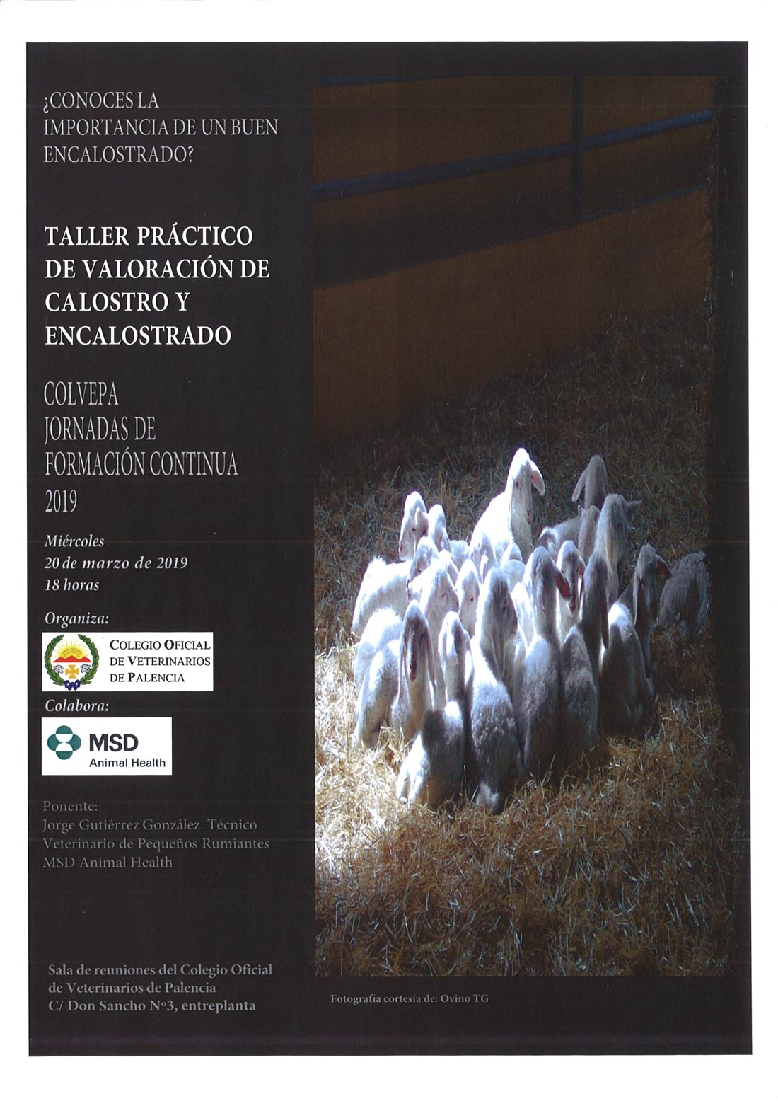 Taller calostro y encalostrado