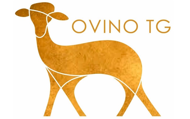 Visita Ovino TG