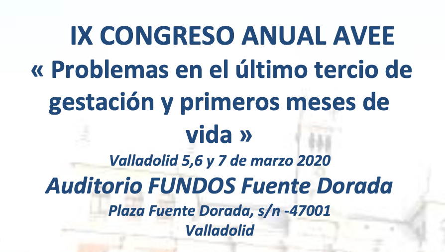 AVEE Valladolid 2020