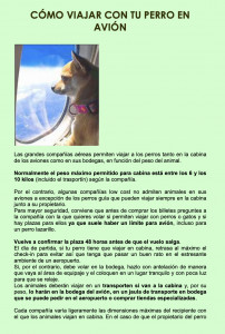 Guía - Como viajar con tu perro