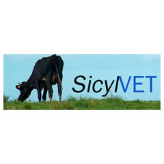 SICYNET