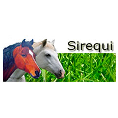 SIREQUI